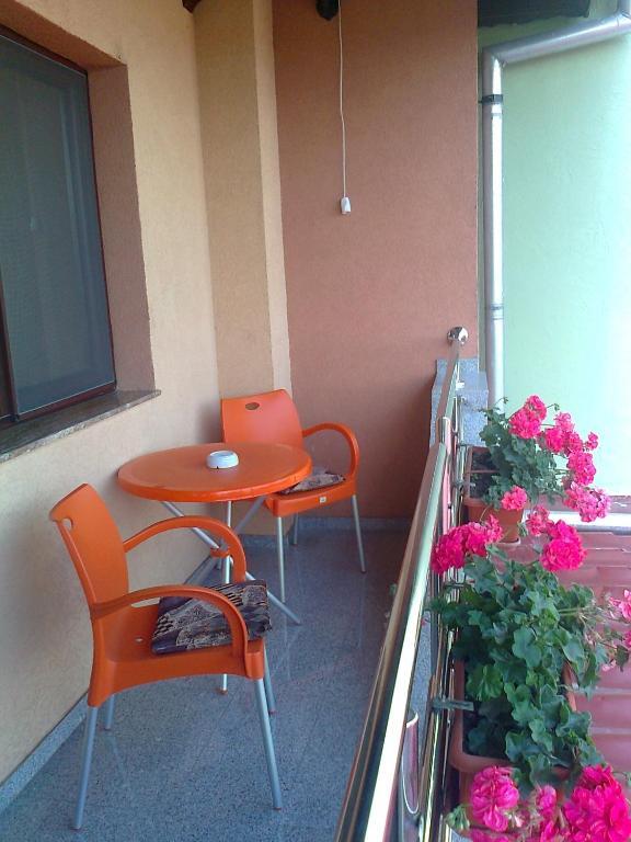 Pensiunea Select Guest house Arad